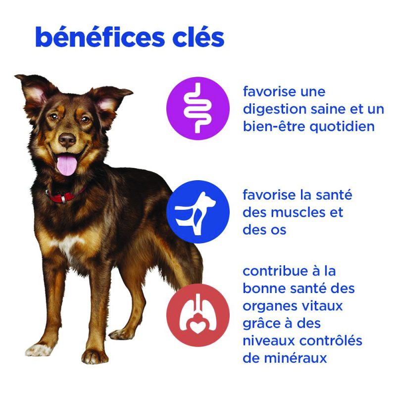 Hill's Vet Essentials Multi Benefit pour chien au poulet et légumes - 12 boîtes de 363 g - JungleVet