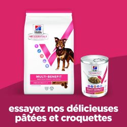 Hill's Vet Essentials Multi Benefit pour chien au poulet et légumes - 12 boîtes de 363 g - JungleVet
