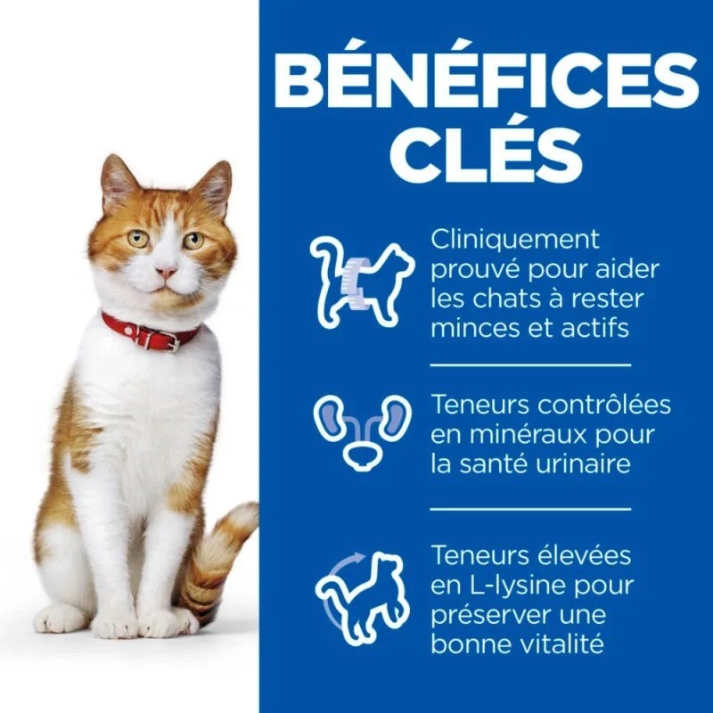 Hill's Science plan feline Sterilised poulet 12 sachets de 85 g - JungleVet