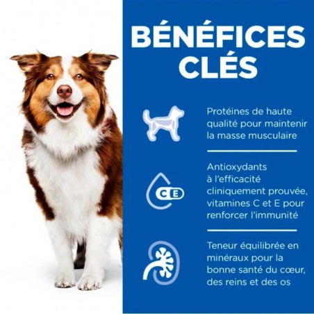Hill's Science Plan Canine Adult 7+ au Boeuf Mature 12 boîtes de 370 g - JungleVet