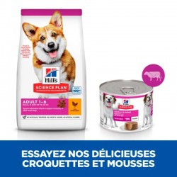 Hill's Science Plan Canine Adult 1 6 Small & Mini Boeuf Mousse 12 boîtes de 200 g - JungleVet