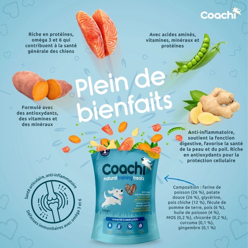 Friandises d'éducation Coachi Puppy Natural Poisson sachet de 100 g - JungleVet