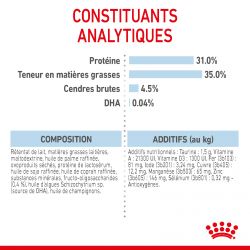Royal Canin Puppy ProTech Lait maternisé pour chiot - JungleVet