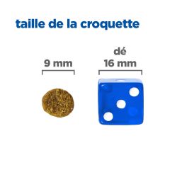 Hill's Vet Essentials Chien Multi Benefit Adult1+ S&M Agneau & Riz - JungleVet