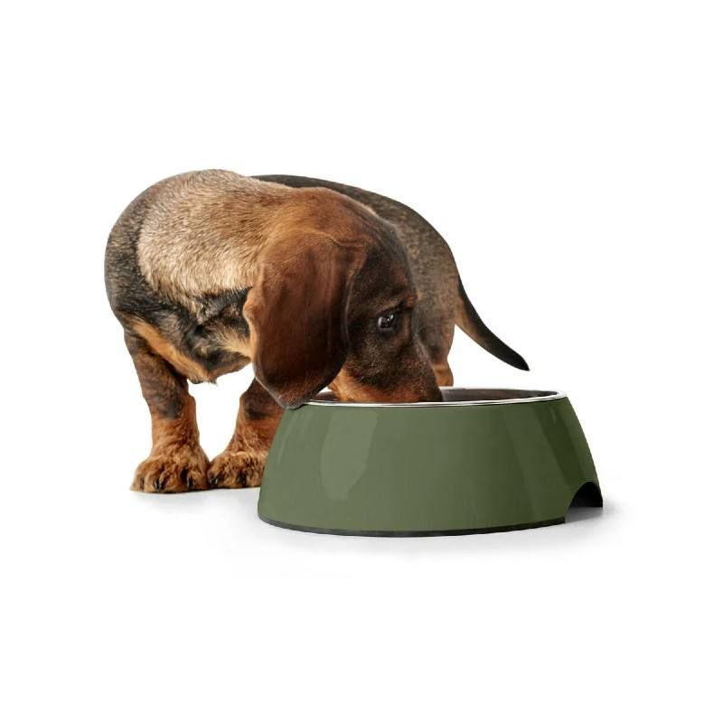 Gamelle 2 en 1 Hunter en inox/mélaminé Kaki - JungleVet