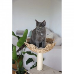 Arbre à chat Banana Leaf Jade - JungleVet