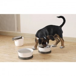 Kit gamelles nomade Curver 3 en 1 - JungleVet