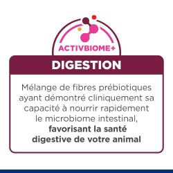 Hill's Prescription Diet i/d Digestive pour chat et chaton au poulet - JungleVet