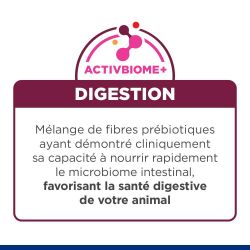 Hill's Prescription Diet i/d Digestive pour Chat et Chaton au Saumon - 12 sachets de 85 g - JungleVet