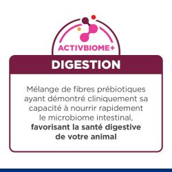 Hill's Prescription Diet Kitten I/D Digestive au Poulet- Sac de 1,5 kg - JungleVet