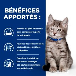 Hill's Prescription Diet Kitten I/D Digestive au Poulet- Sac de 1,5 kg - JungleVet