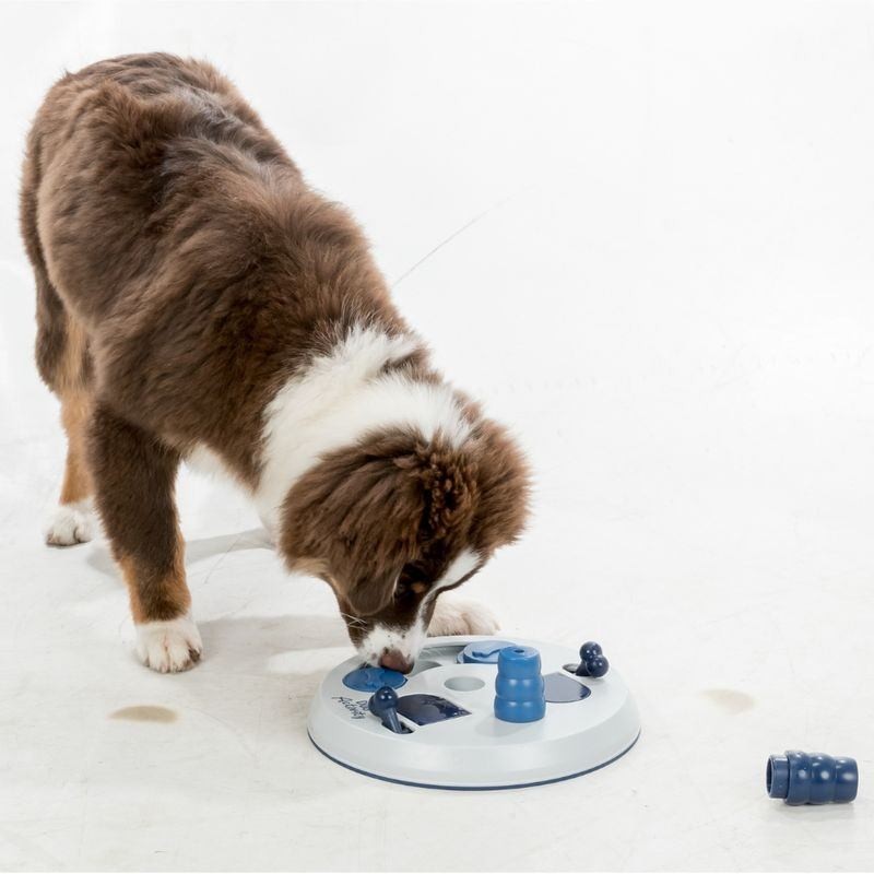 Jouet éducatif pour chien Trixie Flip Board - JungleVet