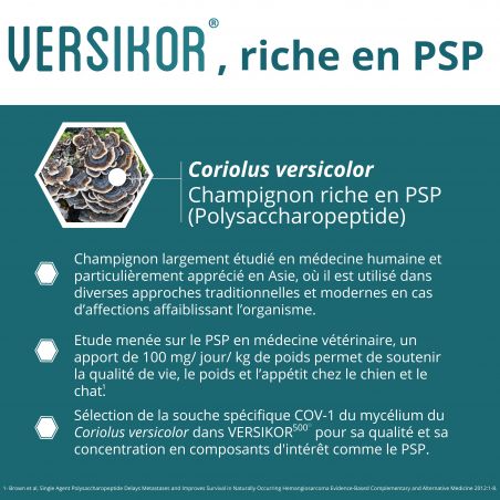 Versikor 250 chews pour chat - Sachet de 60 bouchées - JungleVet