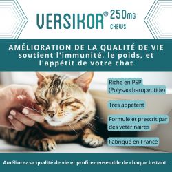 Versikor 250 chews pour chat - Sachet de 60 bouchées - JungleVet