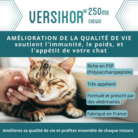 Versikor 250 chews pour chat - Sachet de 60 bouchées - JungleVet