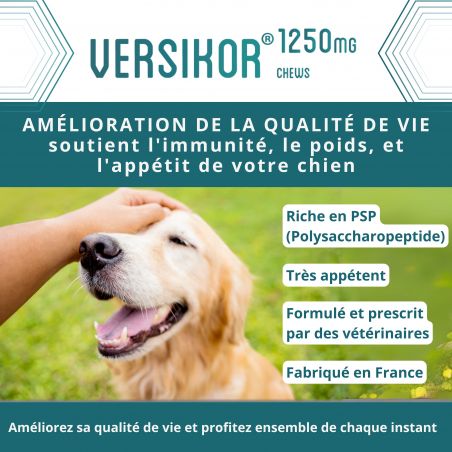 Versikor 1250 chews pour chien - Sachet de 45 bouchées - JungleVet