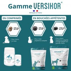 Versikor 1250 chews pour chien - Sachet de 45 bouchées - JungleVet