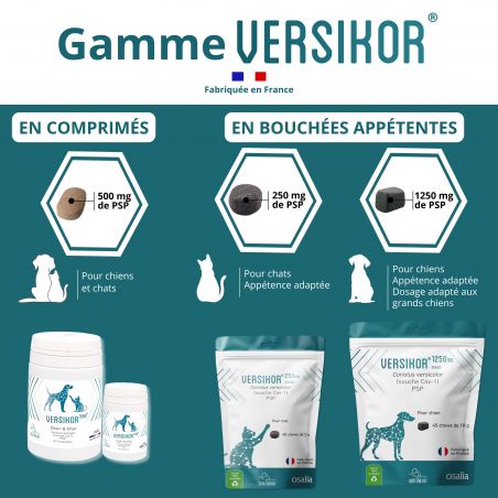 Versikor 1250 chews pour chien - Sachet de 45 bouchées - JungleVet