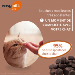 Osalia Easypill Chat Boules de Poils - JungleVet