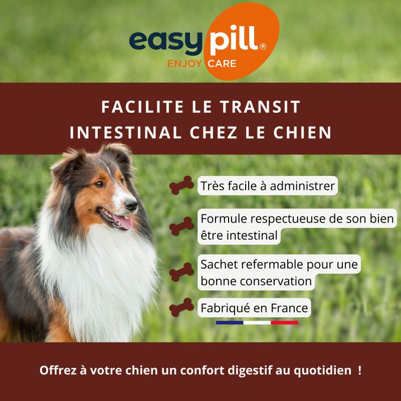 Osalia Easypill Chien Transit - JungleVet