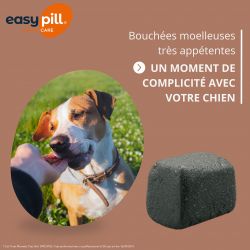 Osalia Easypill Chien Transit - JungleVet