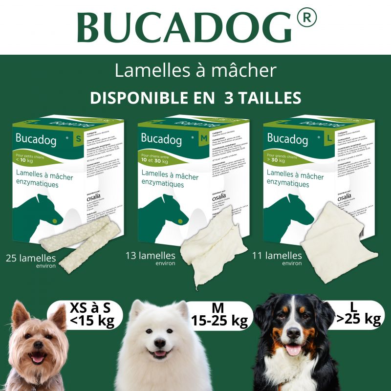 Bucadog Lamelles dentaires à mâcher - JungleVet