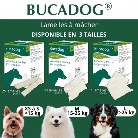 Bucadog Lamelles dentaires à mâcher - JungleVet