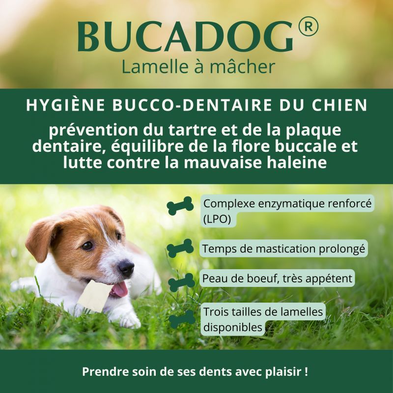 Bucadog Lamelles dentaires à mâcher - JungleVet