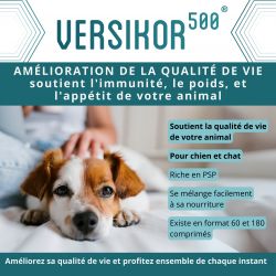 Versikor 500 mg - comprimés pour chien et chat - JungleVet
