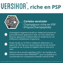 Versikor 500 mg - comprimés pour chien et chat - JungleVet