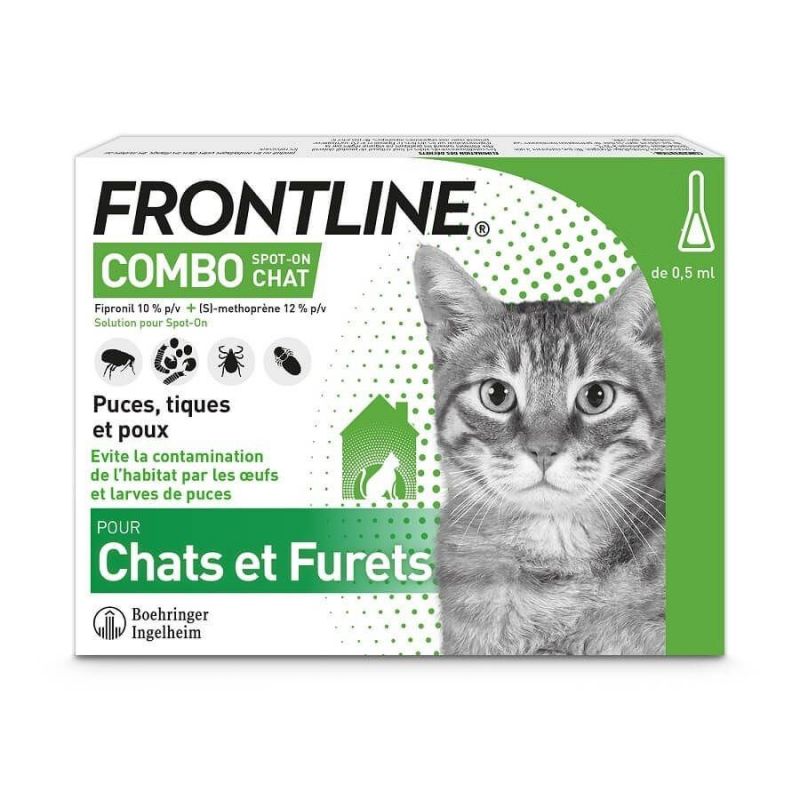 Frontline Combo chat