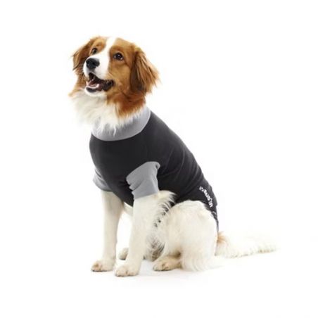 Body Suit Classic Buster pour chien Gilet Post Chirurgie
