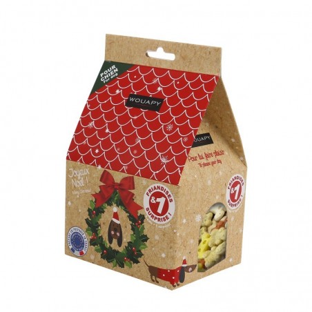 Niche surprise de Noël pour chien - JungleVet