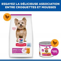 Hill's Science Plan Adult Small & Mini pour chien au poulet - JungleVet