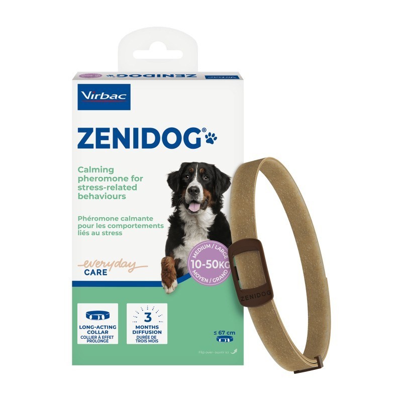 Zenidog collier pour grand chien - Boite de 1 collier - JungleVet