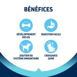 Advance Active Defense Chat Kitten Poulet - Sac de 1,5 kg