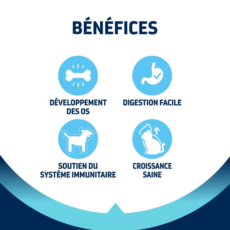 Advance Active Defense Chat Kitten Poulet - Sac de 1,5 kg