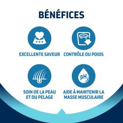 Advance Active Defense Chat Adult Dinde Sterilized