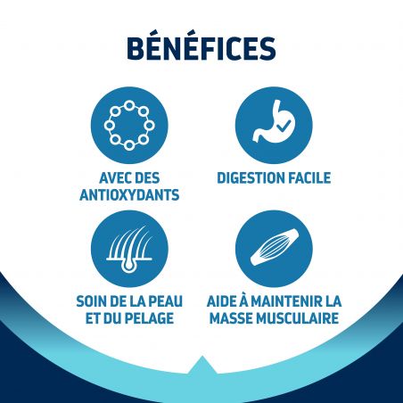 Advance Chien Active Defense Adult Medium Poulet