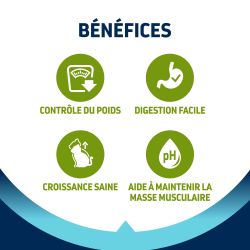 Advance Active Defense Chat Junior Sterilized Poulet sac de 1,5 kg