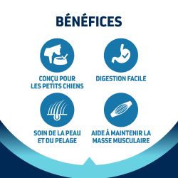 Advance Active Defense Chien Adulte Mini Poulet Sac de 3 kg