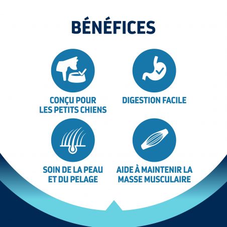 Advance Active Defense Chien Adulte Mini Poulet Sac de 3 kg