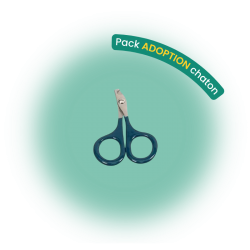 Pack adoption chaton