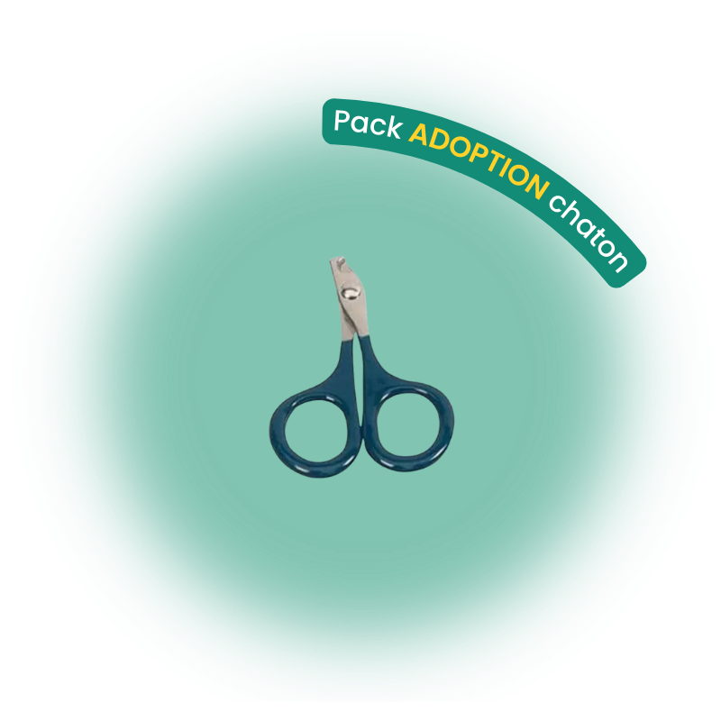 Pack adoption chaton