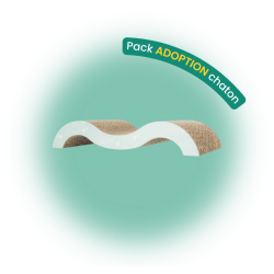Pack adoption chaton