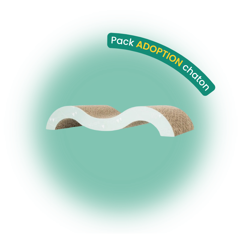 Pack adoption chaton