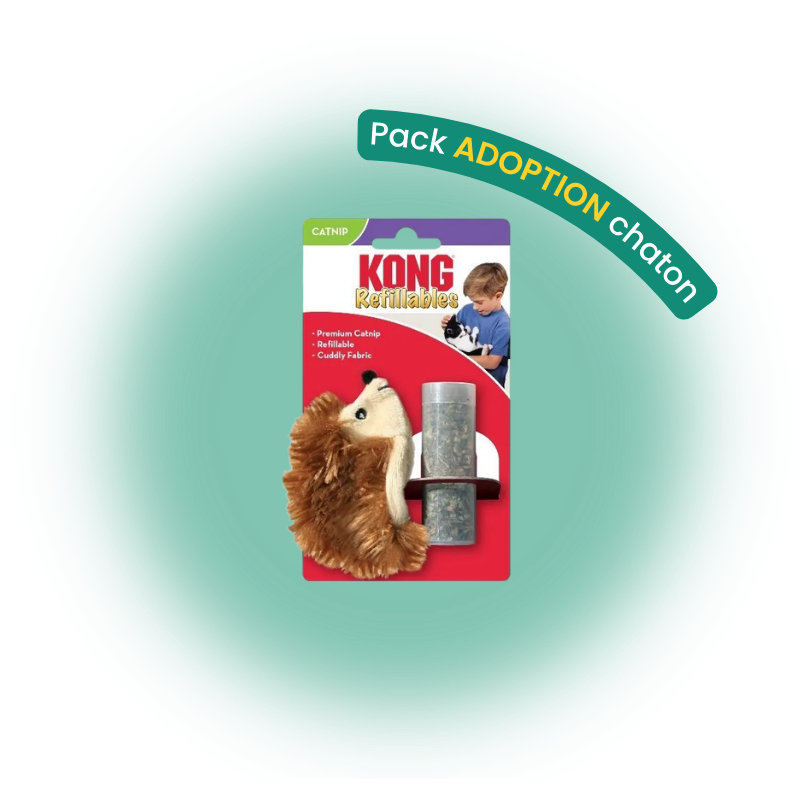 Pack adoption chaton