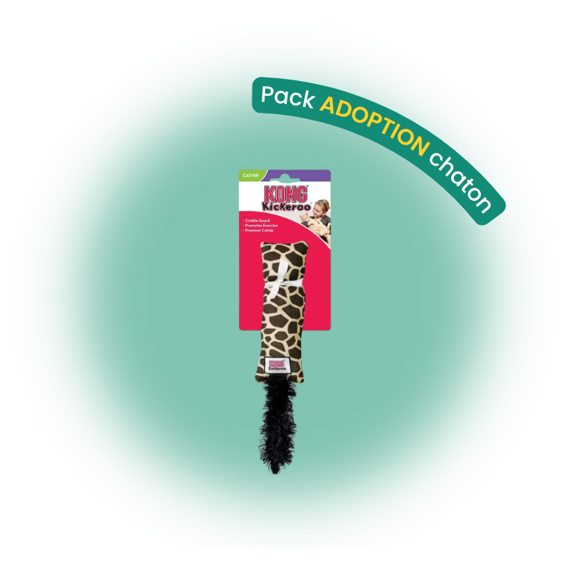 Pack adoption chaton