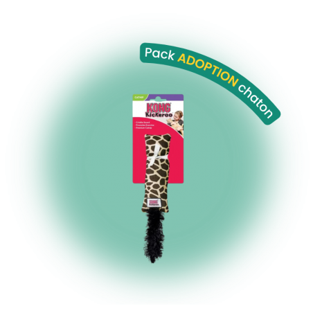 Pack adoption chaton