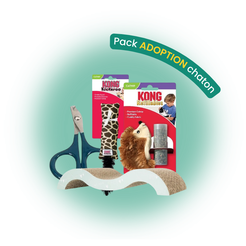 Pack adoption chaton